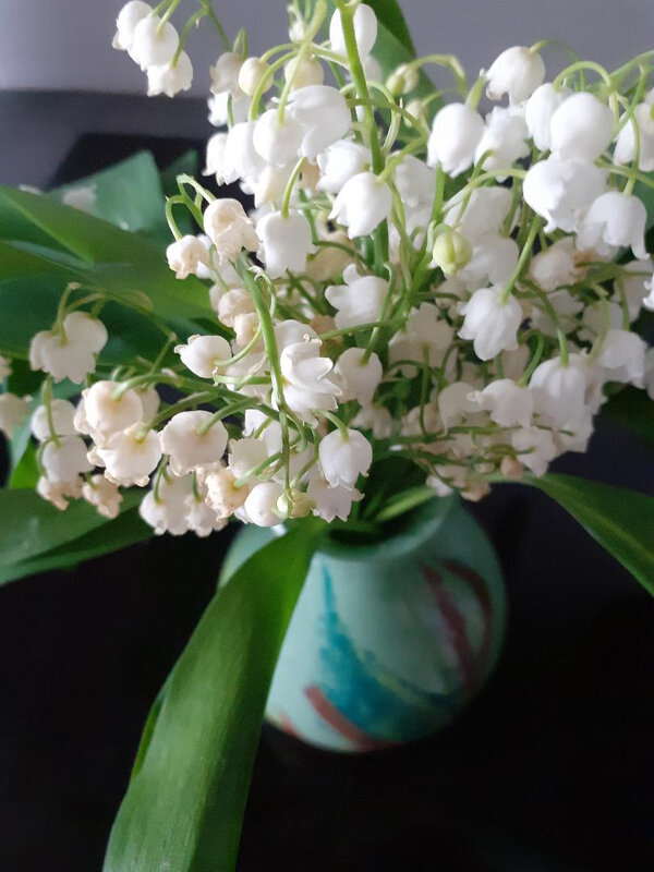 muguet