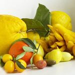 fruits