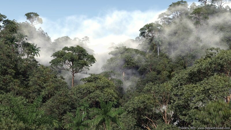 03 Eucalyptus globulus tasmania blue gum tropical jungle forest 3d tree Image 2