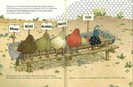 poules-coq1