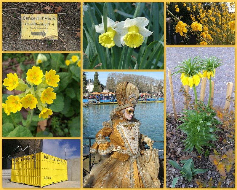 Ma'-jaune