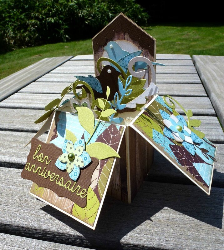 Carte-3D-oiseaux2