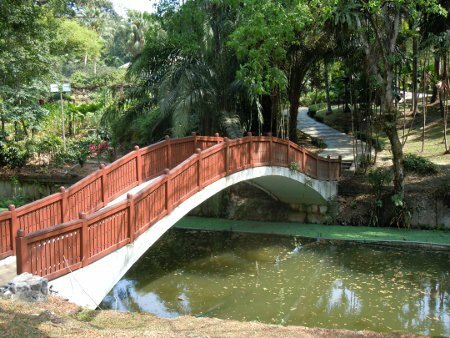 Jardin botanique 4