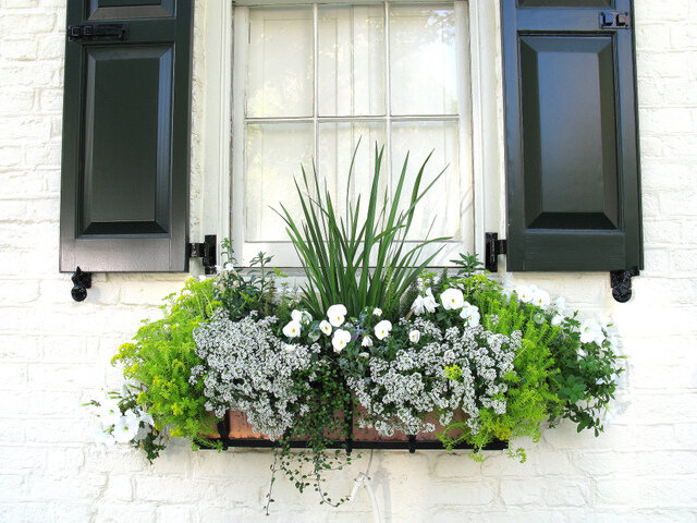 jardiniere-plantes-fenetre