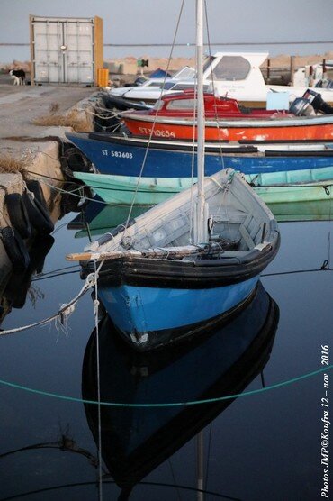 B___Photos_JMP_Koufra_12___Marseillan____15_nov_2016___0089