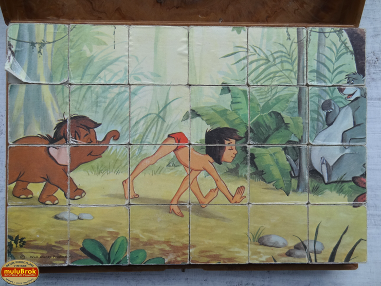 KB5 Livre Jungle muluBrok (8)