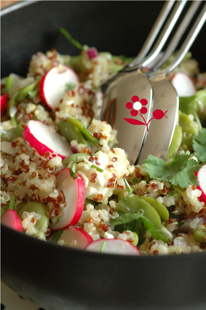 Salade croquante quinoa, radis, fève, feta & sauce coco_2