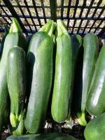 courgettes