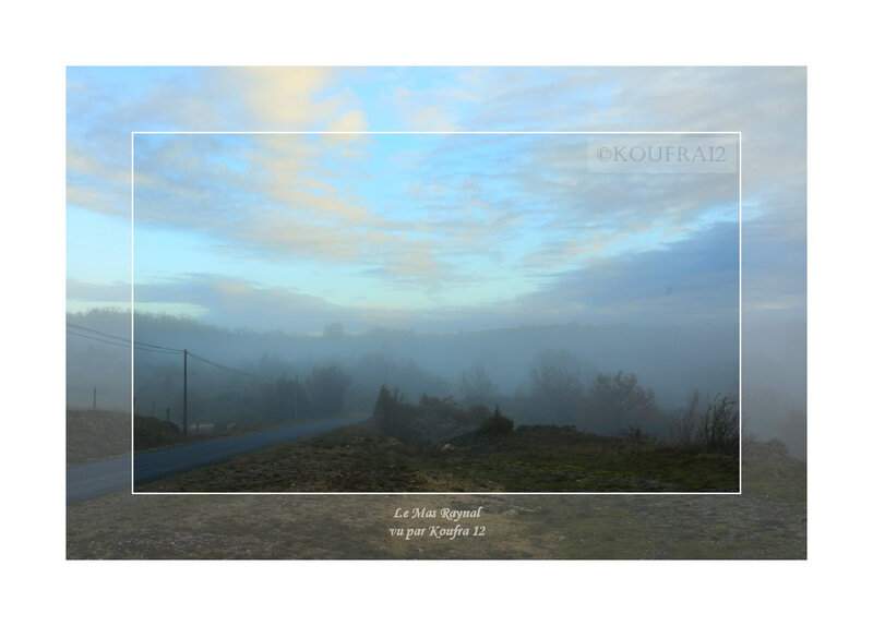 Photos JMP©Koufra 12 - Cornus - Mas Raynal - 01122019 - 0031