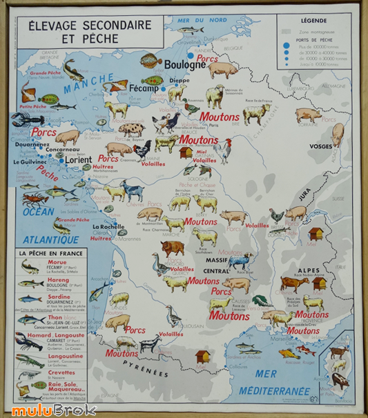 CARTE-Elevage-Peche-1-muluBrok