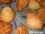 Madeleines___la_fleur_d_oranger_et___la_farine_levante_017