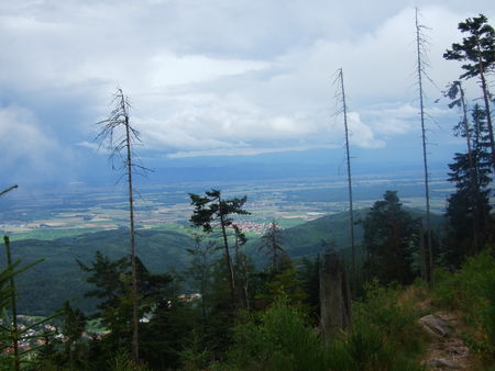 2009_0803Tannenkirch0104