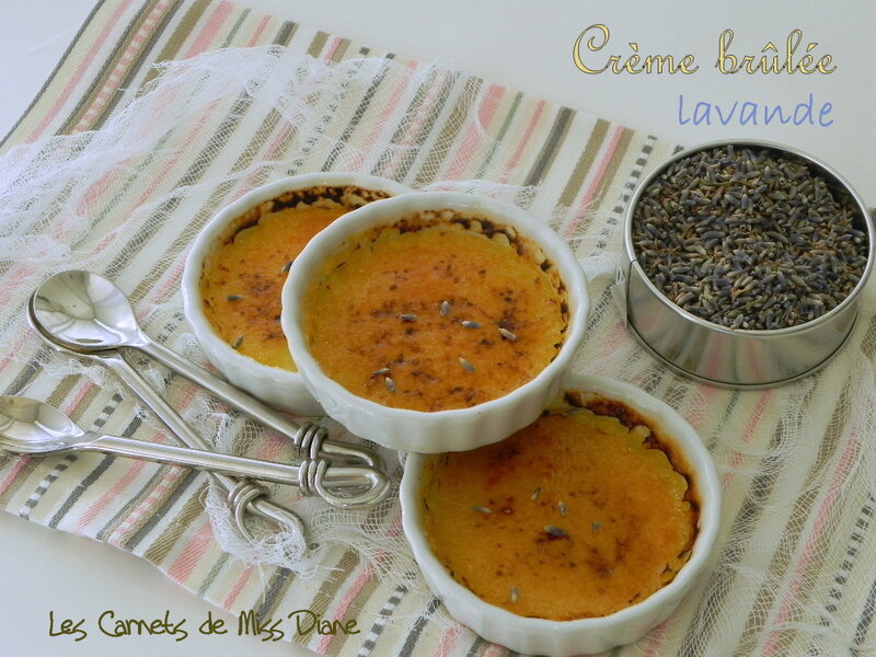 CREME_BRULEE_LAVANDE