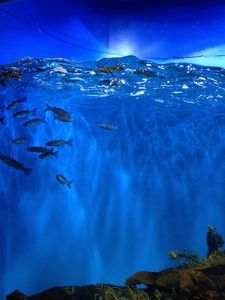 IMG_7697