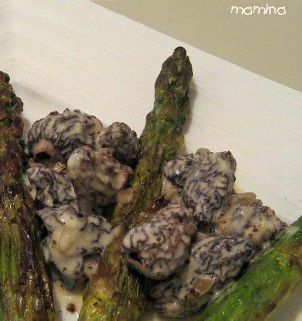 ASPERGES_ET_MORILLES10