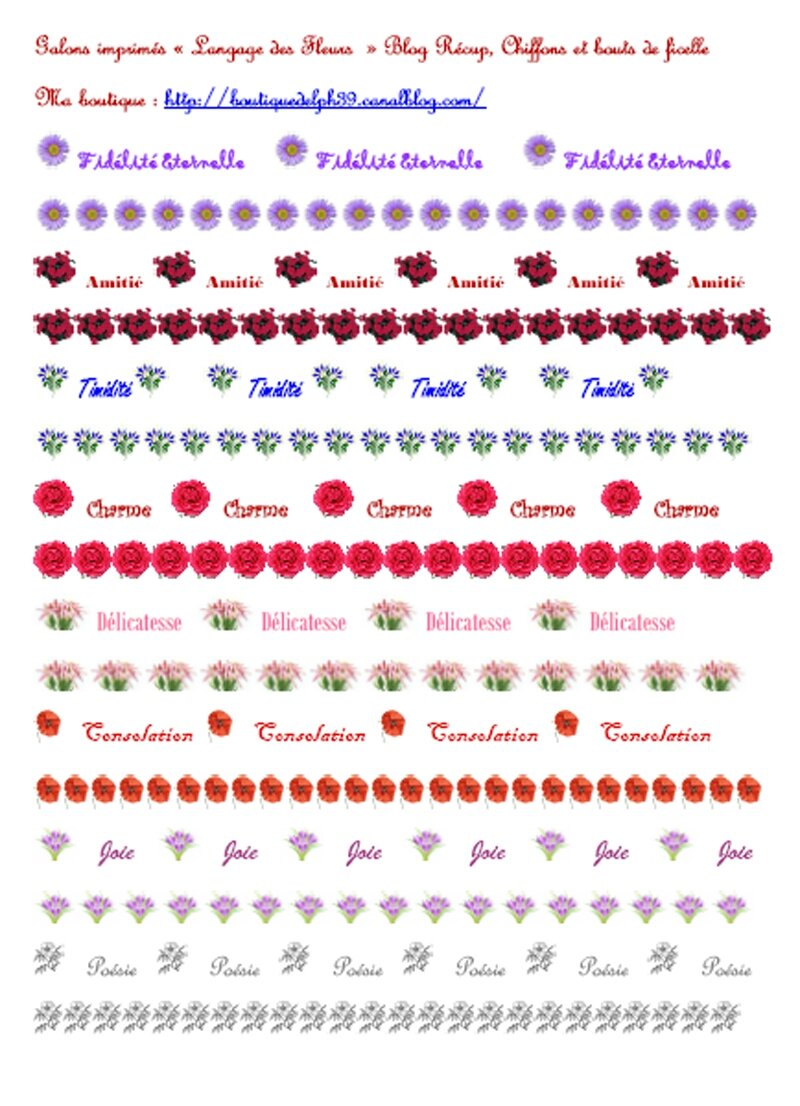 langage des fleurs1