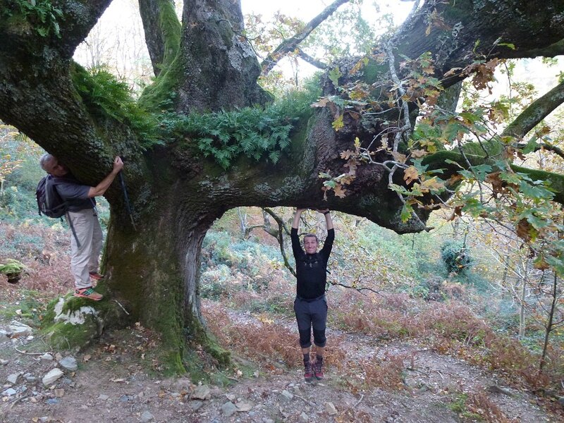 Virginie adore les arbres !