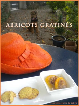 Abricots_gratin_s