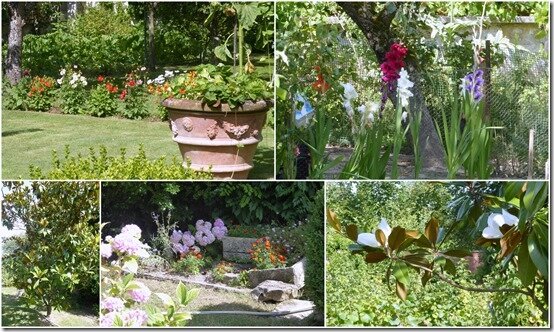 jardin 22 juillet 2019