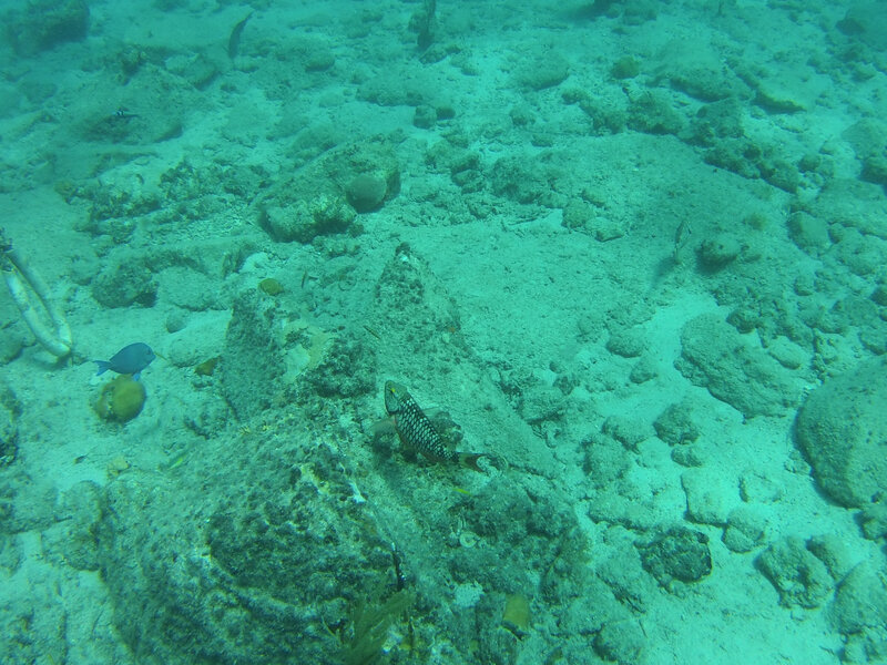 Fon sous marin de Cooper Island (6)