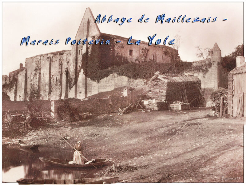 Abbaye de Maillezais Marais Poitevin la Yole barque Maraichine