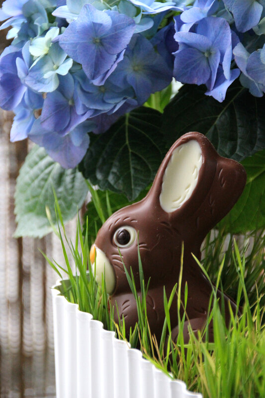 paques_lapin_chocolat