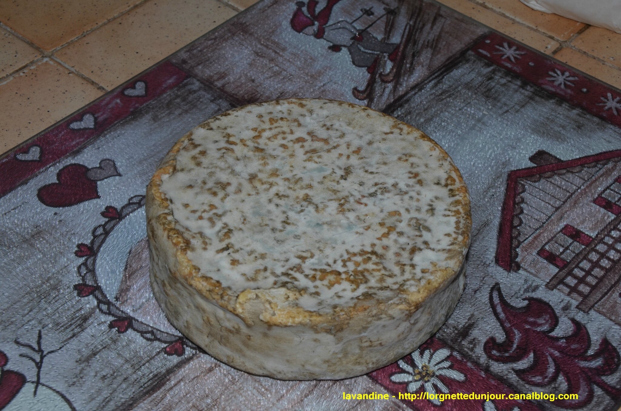 fromages (4)