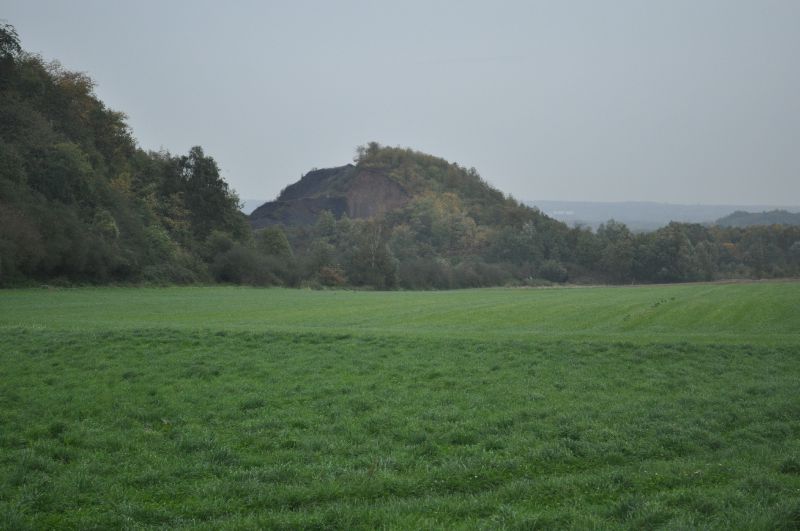 Petit-wasmes - panorama terrils de Marcasse et Grand-Buisson