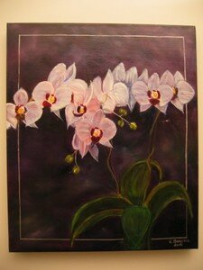 orchid_e_tableau