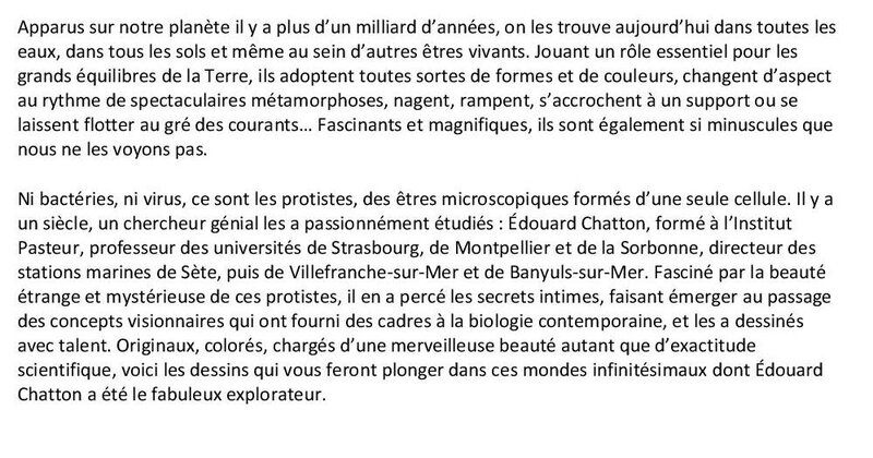 Annonce Anne Marie-page-002