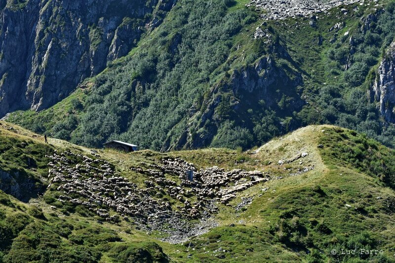 Col du loup 10a