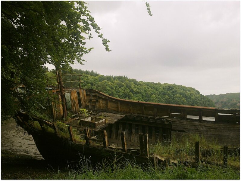 Epave sur le bord du Leff