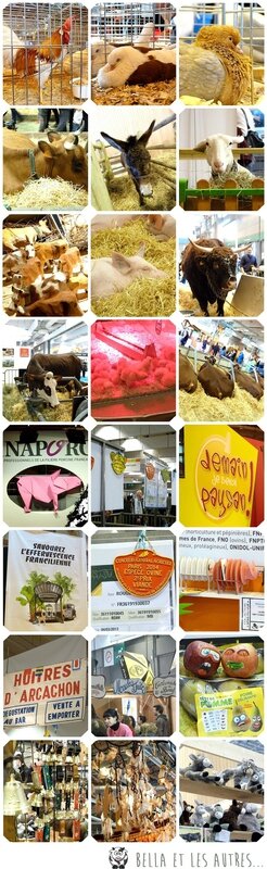Salon_Agri