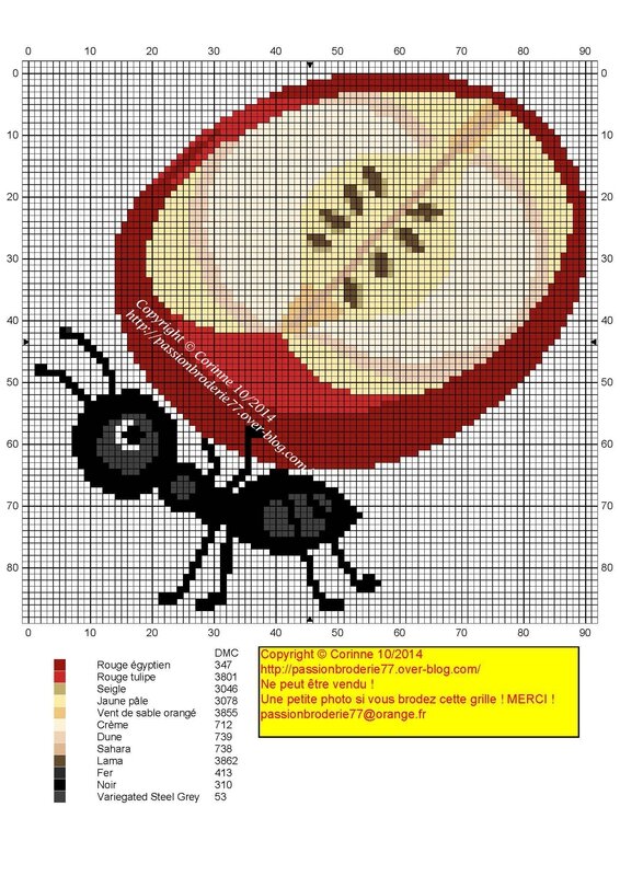 Fourmis pomme