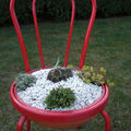 <b>Chaise</b> <b>bistrot</b> recyclée en jardinière de succulentes