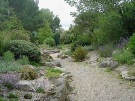 Clos-du-Coudray-28052007-26