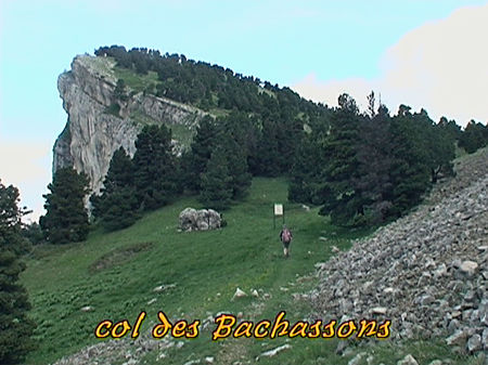 col_des_Bachassons
