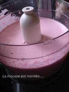 gateau glace mousseux framboises 6