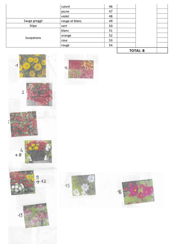 vente de fleur_page-0006
