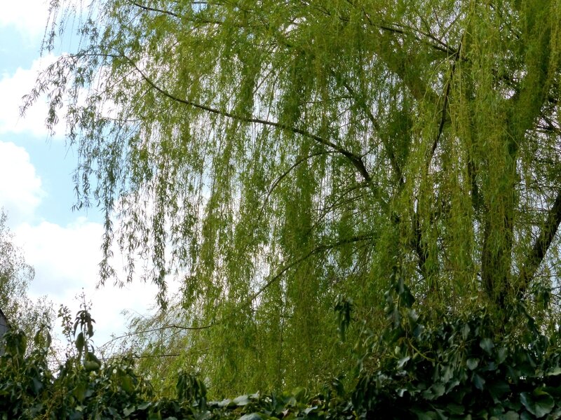 P1420754