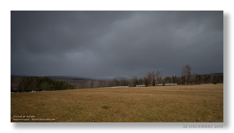 IMG_6560-guyloup de savigny