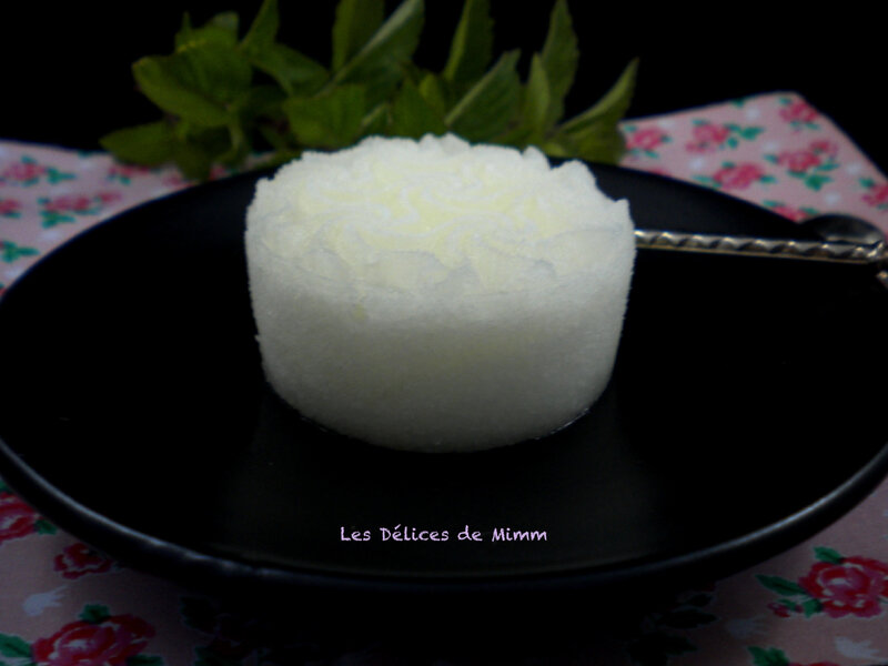 Sorbet mojito2