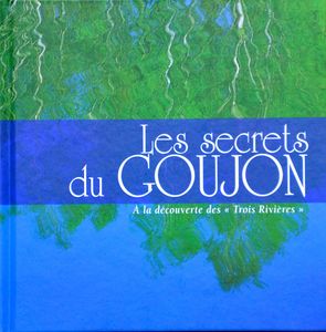 CC3R SECRETS GOUJON livre 2012