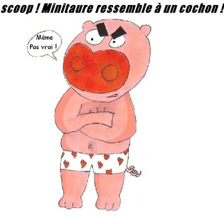 Mini_cochon