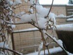 neige_003
