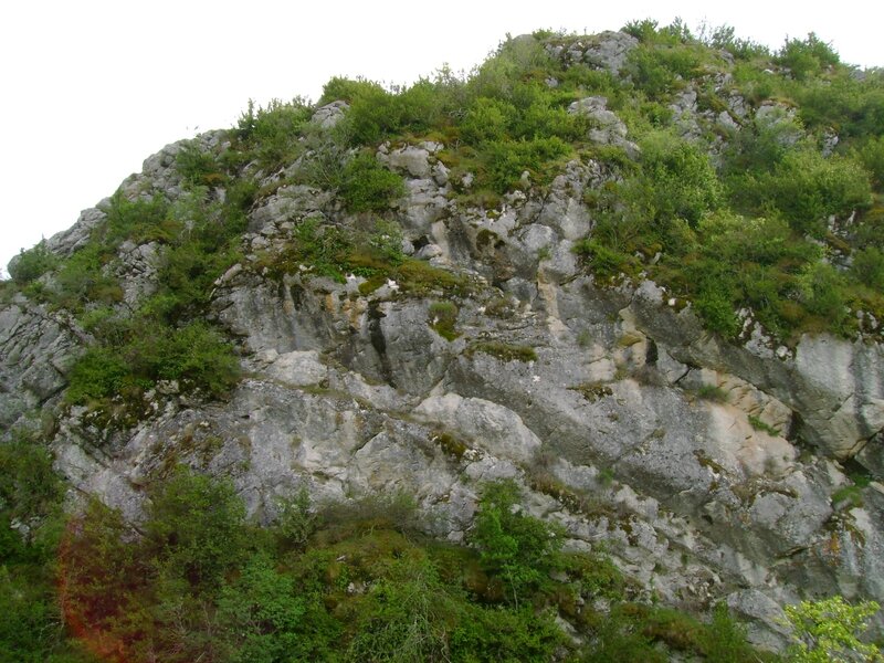DSC06135