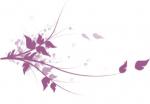 separateur