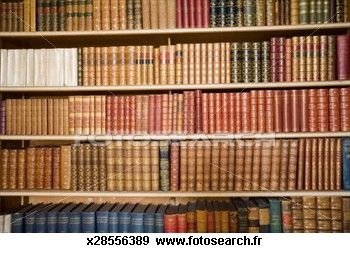 livres_etageres_bibliotheque__x28556389