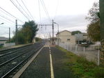 Photo0233