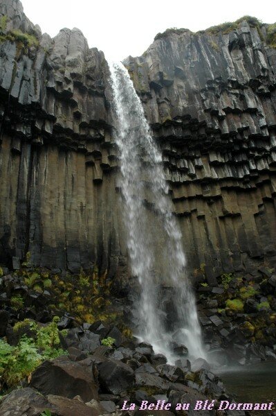 La cascade Svartifoss et ses orgues basaltiques.